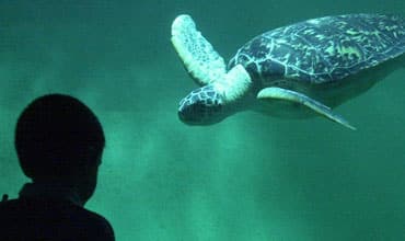 grand-aquarium-st-malo