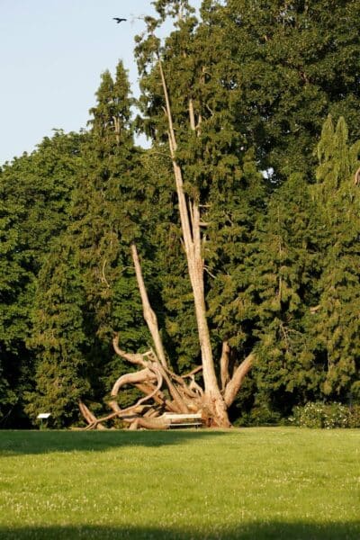 Parc du château de Combourg