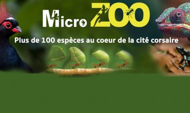 Micro-Zoo